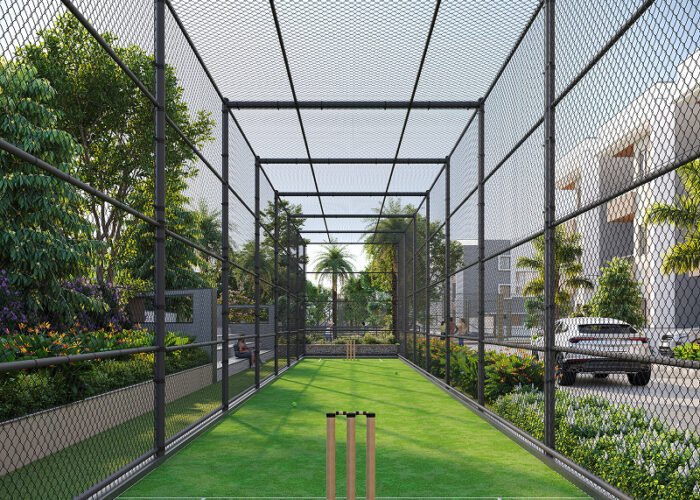 Cricket_View_FFFFF copy 1
